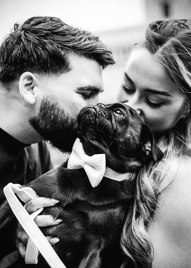 Bride kissing pug dog wearing bow tie during Carlton Gardens engagement session Melbourne, fun candid engagement photography by Miss Moody Photography