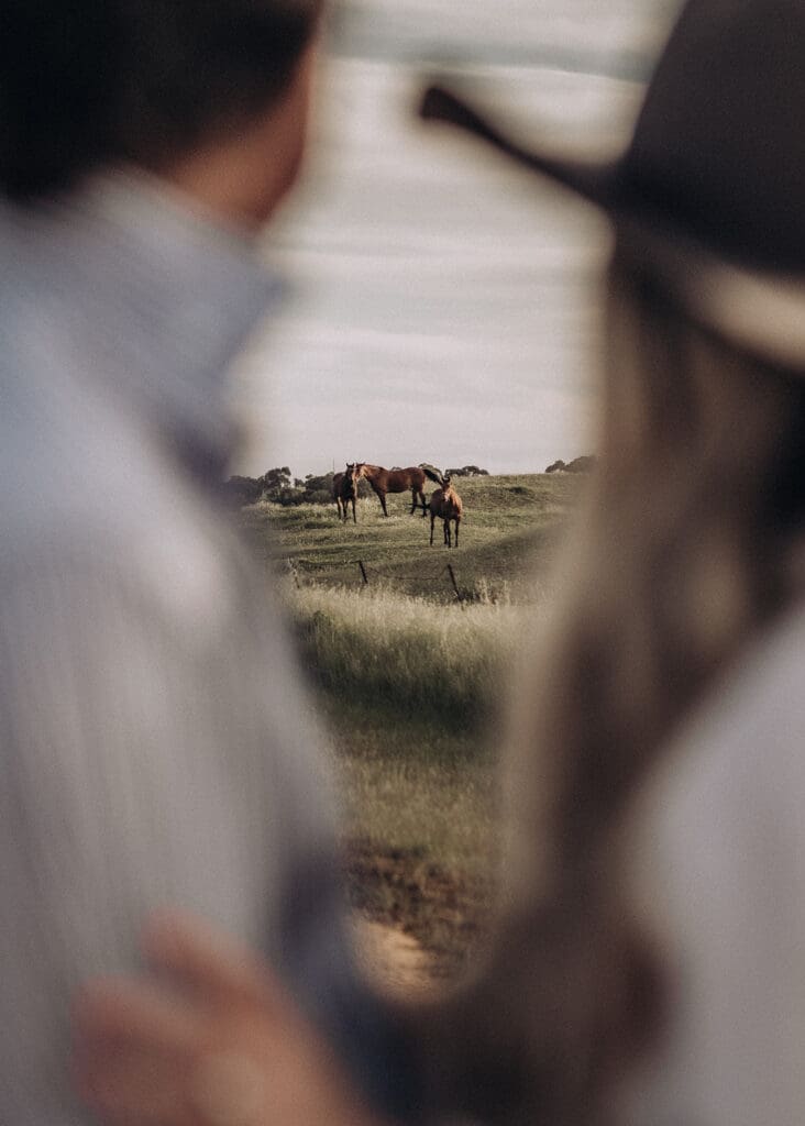 Three horses in a paddock seen through the gap between an engaged couple
